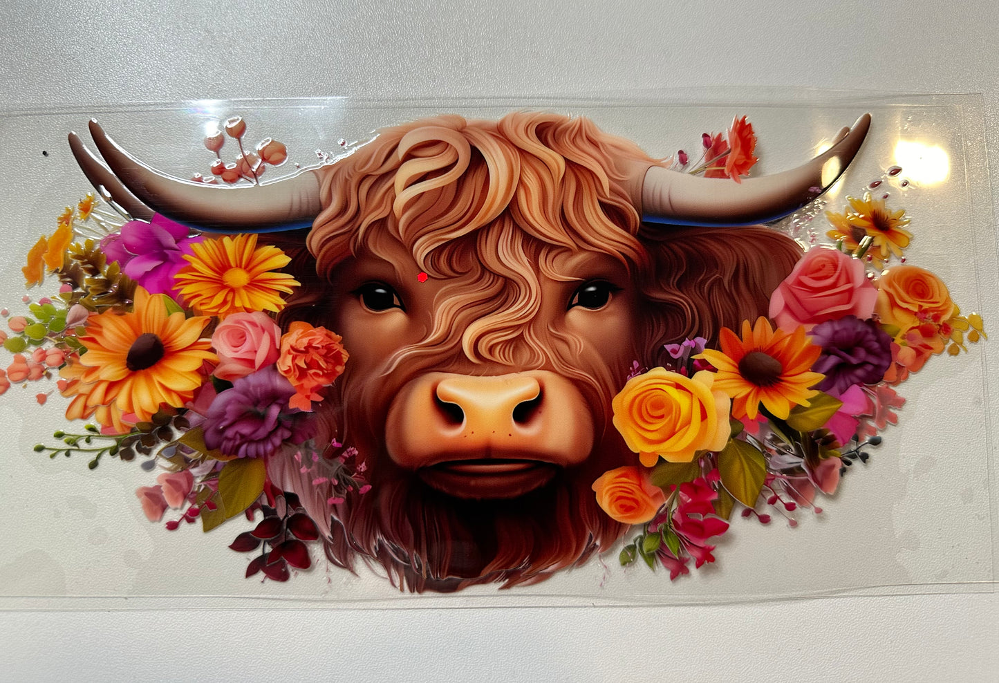 Highland Cow Decal